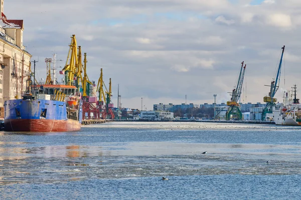 Moored cargo ships and harbor cranes in port. Seaport, cargo container yard, container ship terminal, shipyard. Business and commerce, logistics. Winter industrial scene.