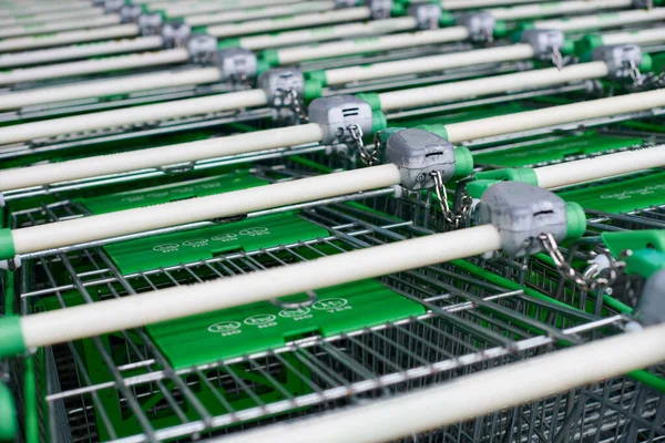 Row of parked trolleys in supermarket. Many empty green shopping carts in row.