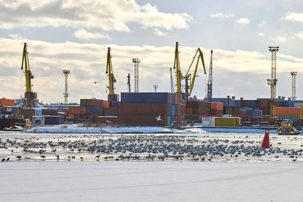Moored cargo ships and harbor cranes in port. Seaport, cargo container yard, container ship terminal, shipyard. Business and commerce, logistics. Winter industrial scene.
