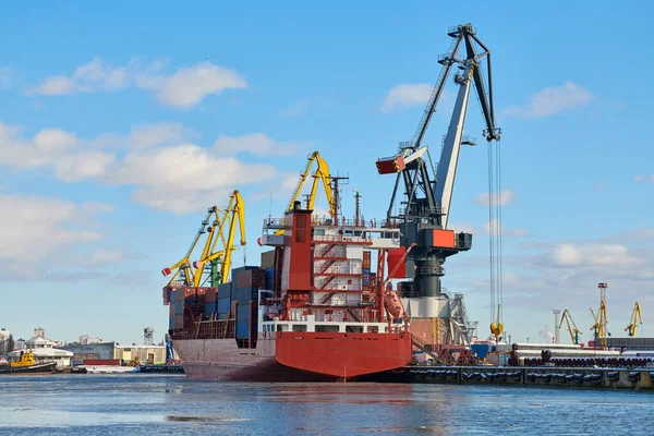 Moored cargo ships and harbor cranes in port. Seaport, cargo container yard, container ship terminal, shipyard. Business and commerce, logistics. Winter industrial scene.