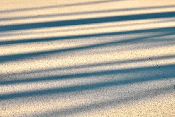 Abstrakte Schattenlinien Auf Winterlichem Schneehintergrund Reiner Schnee Vom Sonnenlicht Erhellt — Stockfoto