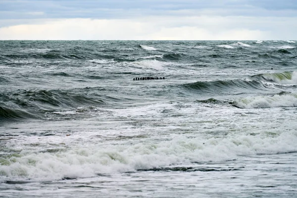 Сценічний Вид Блакитне Море Хвилями Бульбають Спінують Вітер Довгими Дерев — стокове фото