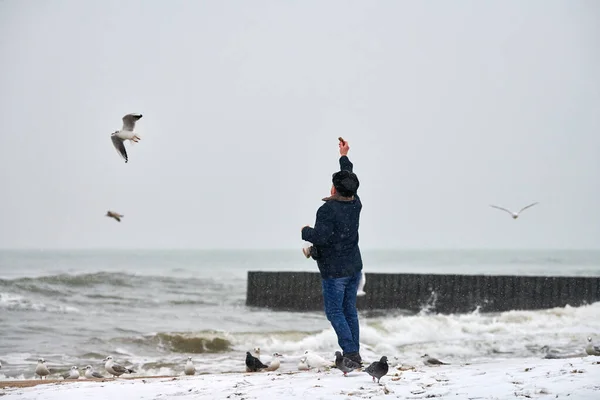 Lonely Old Man Feeding Gulls Seagulls Other Birds Sea Back — Stock Photo, Image