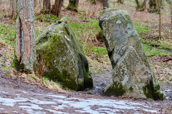 Amazing Giant Hemispherical Stone Split Two Unequal Parts Covered Moss — Stock Photo, Image