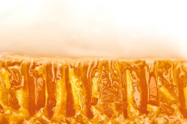 Bal peteği makrosu dokuyu kapat, boşluk beyaz arkaplanı kopyala. Lezzetli limon bal deseni. Tatlıya karşı sevgi.