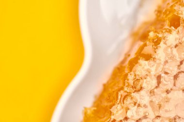 Plakada bal peteği, kopyalama alanı, makro yakın çekim. Lezzetli ve işe yarar bir tatlı. Tatlıya karşı sevgi.