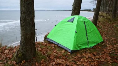 Baltık Denizi kıyısında yaprak kaplı zeminde bulutlu gökyüzünün altında parlak yeşil bir çadır kurulmuş. Sakin deniz dalgaları orman sınırıyla buluşur, huzurlu kıyı manzarasını yakalar.