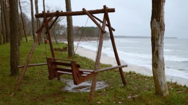 Rustik ahşap salıncak bulutlu gökyüzü altında sakin baltık denizinin yanındaki çimenli kıyı şeridinde duruyor. Ağaçların çerçevesi sessiz tonlar ve yumuşak ışıkla durgun deniz manzarası