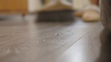 Yumuşak doğal ışıkla çekilen yumuşak ahşap zemin, detaylı tahıl desenleri gösteriyor. Uzak arkaplandaki terliklerdeki bulanık İnsan Ayakları düşük açı perspektifli rahat bir atmosfer yaratır.