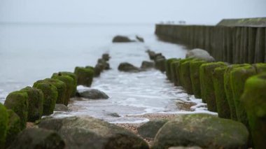 Yosunlu ahşap ve taş kırıkları yumuşak doğal ışık altında sakin deniz sularına yol açar. Bulutlu gökyüzü kıyı şeridi boyunca sessiz tonlar ve sakin atmosfer yaratıyor