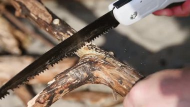 Keskin tırtıklı testereli testere, sert dokulu kuru ağaç dalını kesiyor. Görünür ağaç kabuğu ve tahta talaşları havada uçuşuyor. Gün ışığında elle ahşap işçiliğine odaklanıyor.