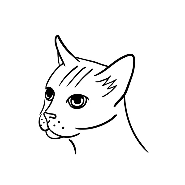 Faccia di gatto disegnata a mano . — Vettoriale Stock