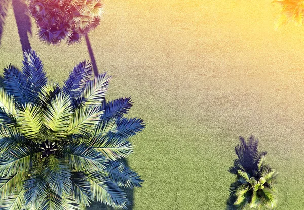 上から見る熱帯植物の背景 3Dレンダリング — ストック写真