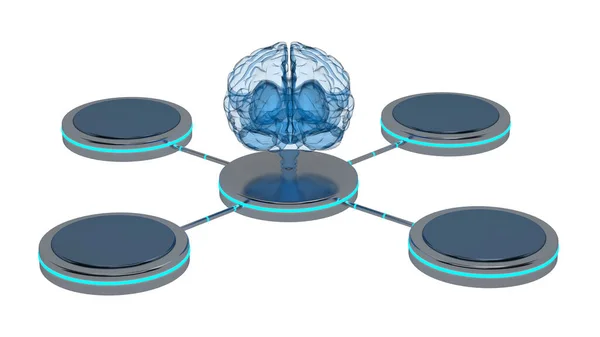 Visão Frontal Raio Cérebro Com Quatro Pedestais Simulados Redor Renderização — Fotografia de Stock