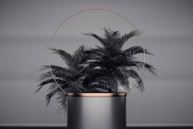 Siyah palmiyeli siyah silindirik podyum. 3d oluşturma