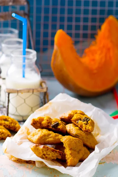 Pompoen koekjes met chocolade. — Stockfoto