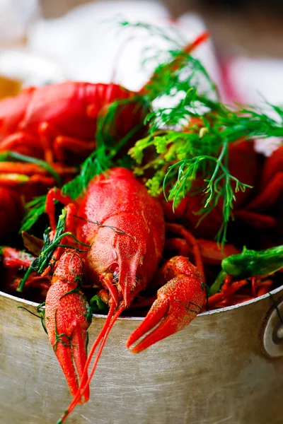 Boiled crayfish with dill in a vintage metal pan — Stock Photo, Image