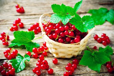 ahşap bir masa üzerinde bir sepet içinde kırmızı kuş üzümü. rustik tarzı. seçici odak