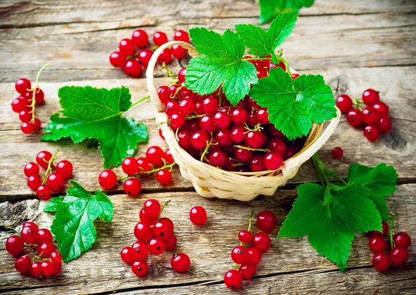 Groseille rouge dans un panier sur une table en bois. style rustique. focus sélectif — Photo