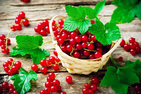 Groseille rouge dans un panier sur une table en bois. style rustique. focus sélectif — Photo