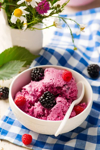 Zmrazené bobule jogurt — Stock fotografie