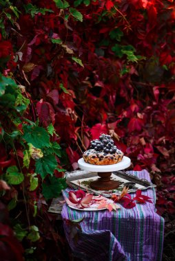 Sonbahar desenli üzümlü pasta. .style kırsal. seçici odak