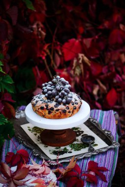 Sonbahar desenli üzümlü pasta. .style kırsal. seçici odak