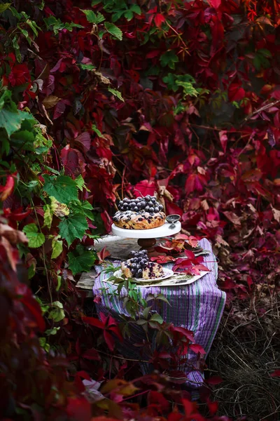 Traubenherbsttorte Mit Herbstdekor Style Rustikal Selektiver Fokus — Stockfoto