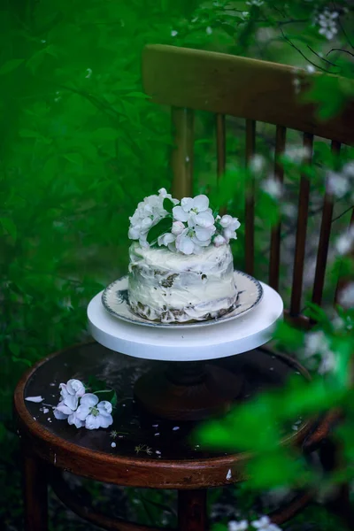 Carrot Cream Cheese Frosting Garden Selective Focus — Stock Photo, Image