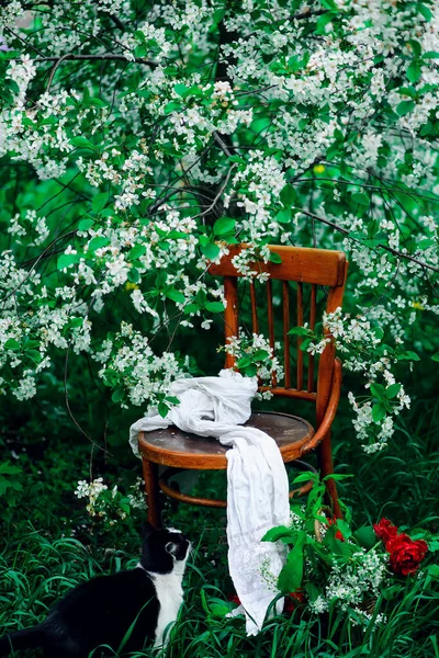 Vaniglia Rabarbaro Svizzero Rotolo Tavolo Apparecchiato Giardino Fiorito Primaverile Stile — Foto Stock