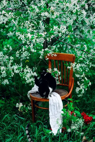 Vaniglia Rabarbaro Svizzero Rotolo Tavolo Apparecchiato Giardino Fiorito Primaverile Stile — Foto Stock