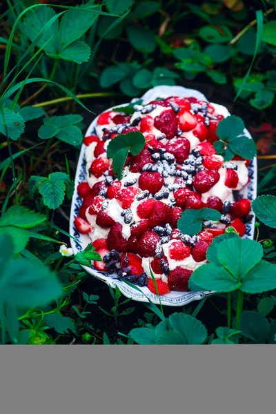 Summer Berry Pavlova Focus Outdoor Selettivo Foto — Foto Stock