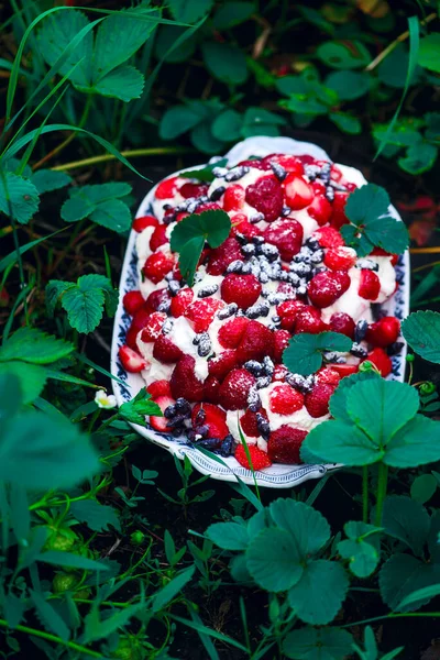 Summer Berry Pavlova Focus Outdoor Selettivo Foto — Foto Stock