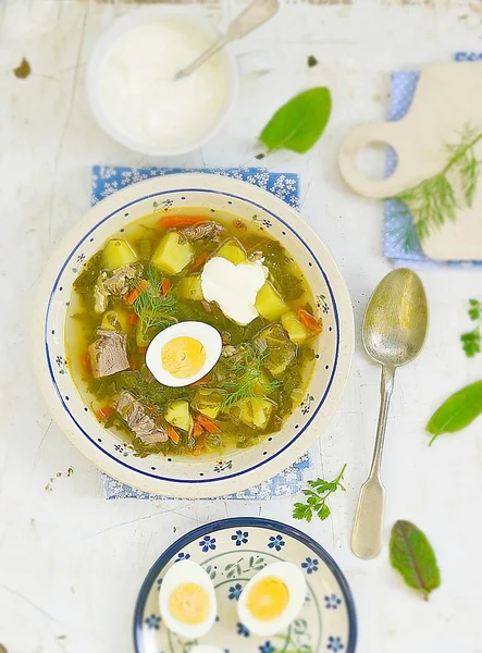 Ängssyra ägg och gräddfil soppa . — Stockfoto