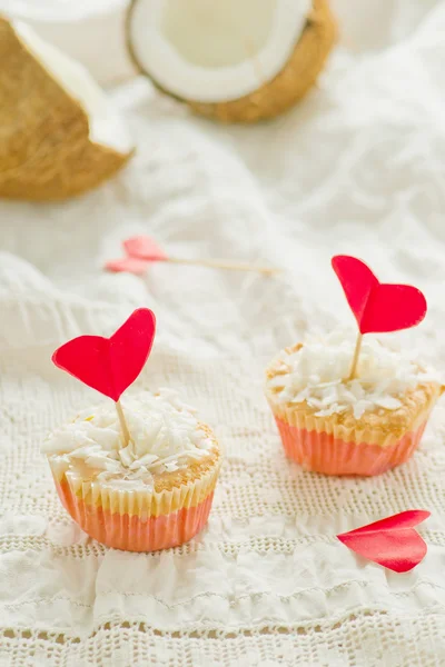 Coconut cakes — Stock Photo, Image