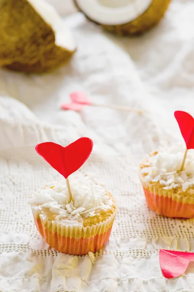 Coconut cakes — Stock Photo, Image