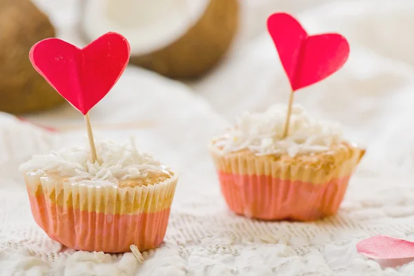 Coconut cakes — Stock Photo, Image