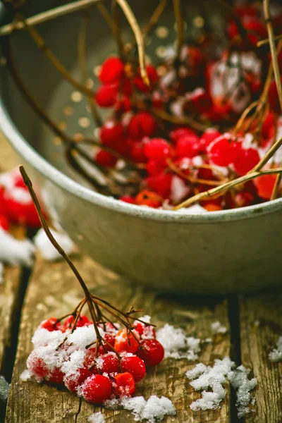 Frische Beeren einer Drosselrose in einer Glasschale auf einem Holztisch. — Stockfoto