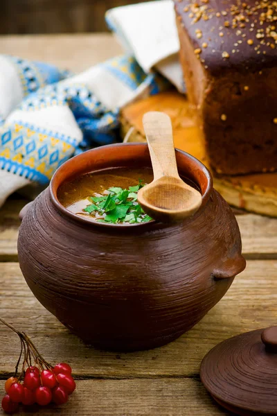 Shchi, traditional Russian soup from cabbage. — Stock Photo, Image