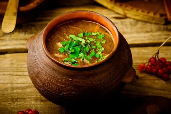Shchi, sopa russa tradicional de repolho . — Fotografia de Stock