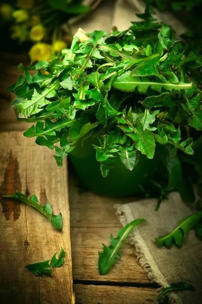 Bladeren van een wild groeiende paardebloem. — Stockfoto