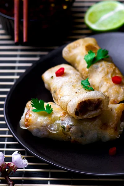 Fried spring rolls. — Stock Photo, Image