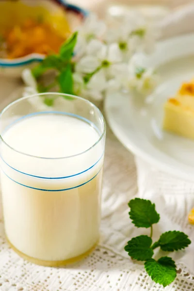 Milk  kissel. Russian jelly-like soft drink — Stock Photo, Image