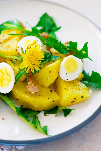 Картофельный салат с одуванчиками — стоковое фото
