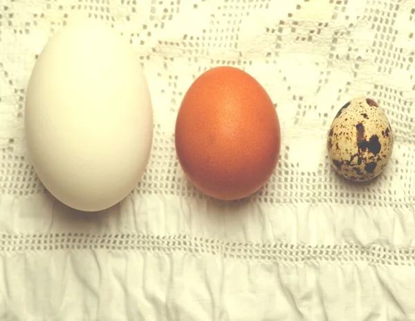 Органические гусиные, куриные и перепелиные яйца — стоковое фото