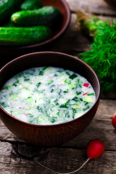 Okroshka, sopa fría tradicional rusa —  Fotos de Stock