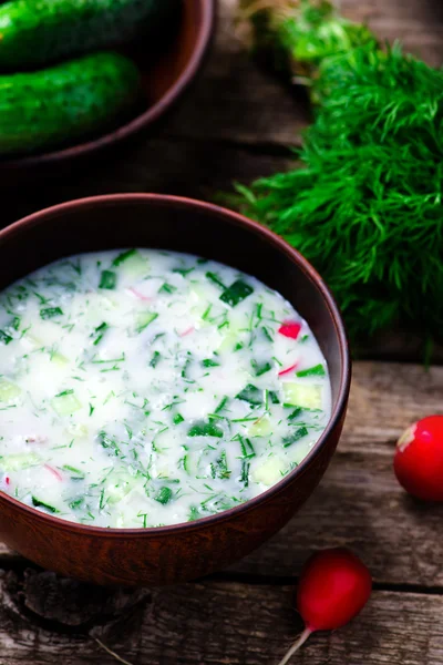 Okroshka, sup dingin tradisional Rusia — Stok Foto