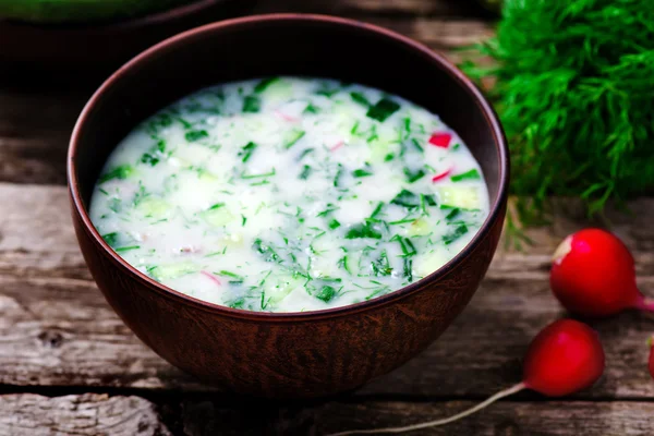 Okroshka, traditionell rysk kall soppa — Stockfoto