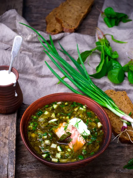 Ботвиния, традиционный русский холодный суп — стоковое фото