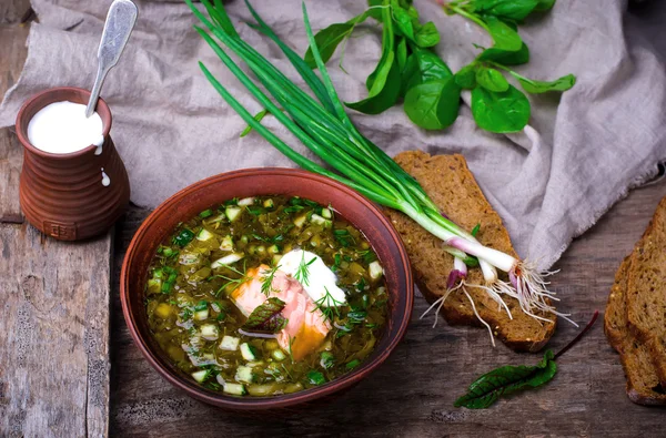Botvinia ,traditional Russian cold soup — Stock Photo, Image